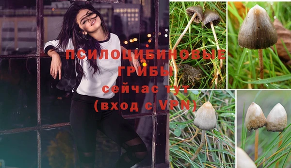 синтетический гашиш Горно-Алтайск