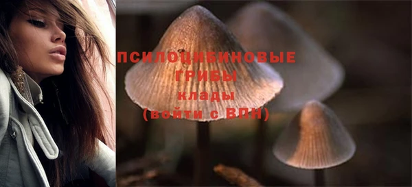 герыч Вяземский