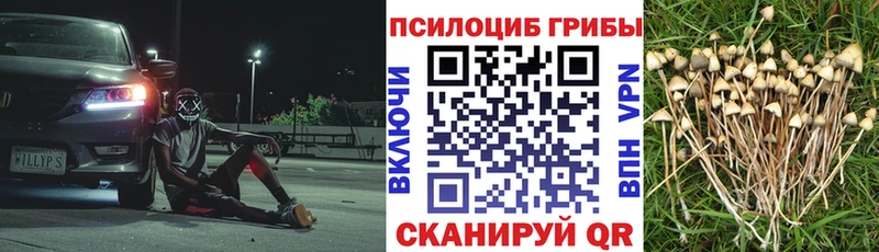 Галлюциногенные грибы Psilocybine cubensis Кяхта